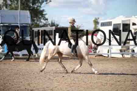 OZY-1839