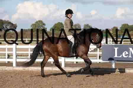 OZY-1936