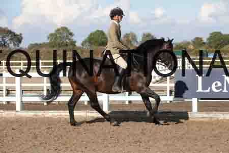 OZY-1937