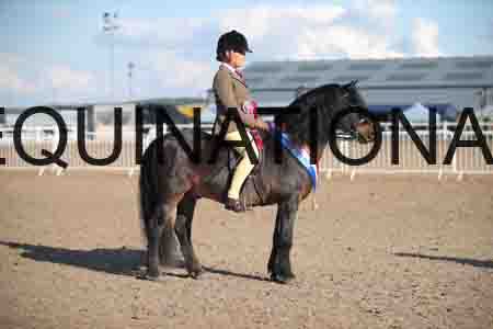 OZY-2061