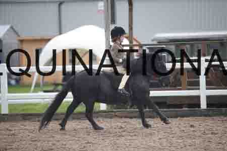 ZAY-1216