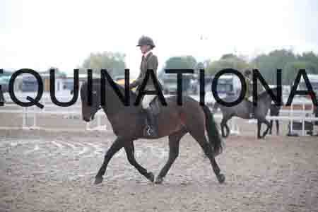 ZAY-1346