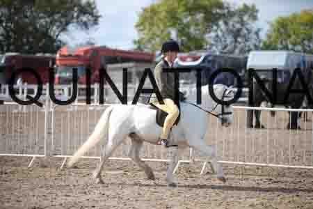 ZAY-1578