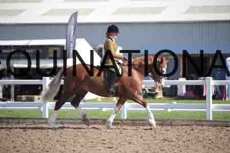 ZAY-1596