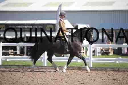 ZAY-1612