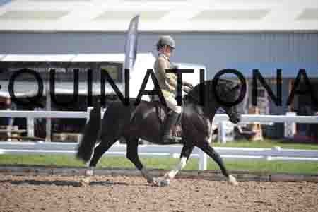 ZAY-1618