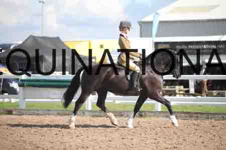 ZAY-1626