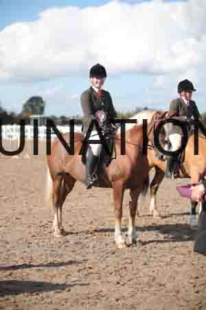 ZAY-1644