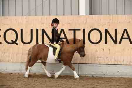PAE-1485