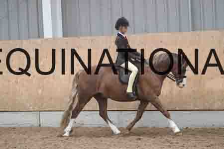 PAE-2142