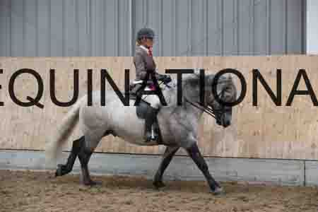 PAE-2487