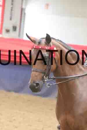 ATK-1379