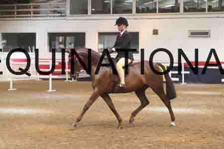 ATK-1811