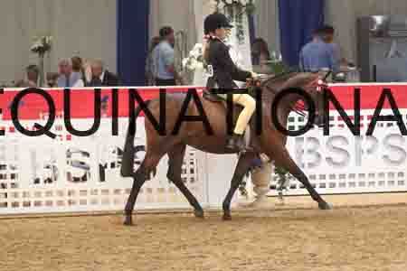 ATK-2083