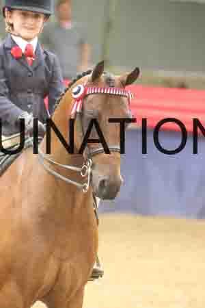 ATK-2145