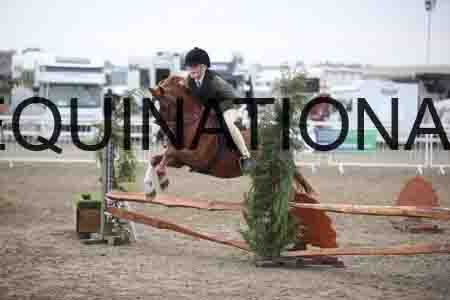 BSP-1135
