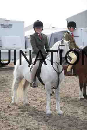 BSP-1462