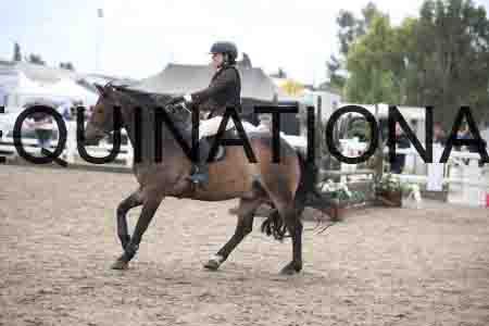 BSP-1909