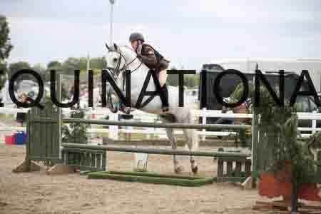 BSP-2297