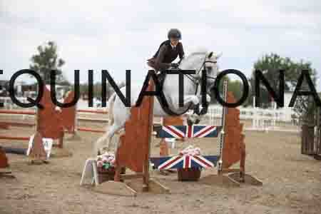 BSP-2321