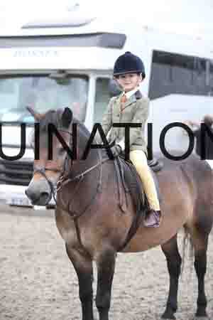 BSP-2737