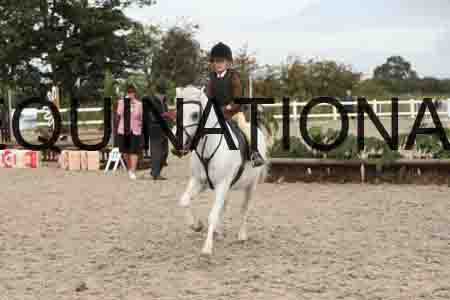 TUR-1126