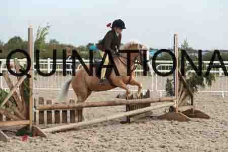 TUR-1161