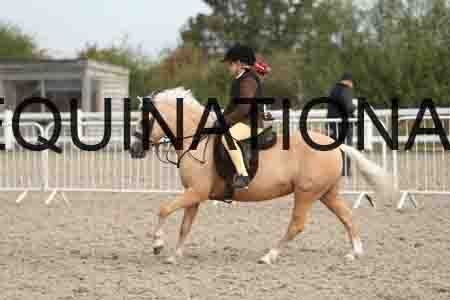 TUR-1163