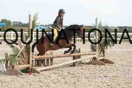 TUR-1166