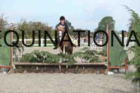 TUR-1174