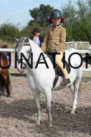 TUR-1185
