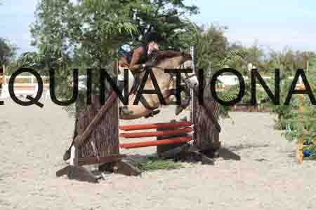 TUR-1205