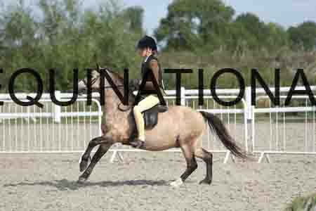 TUR-1206