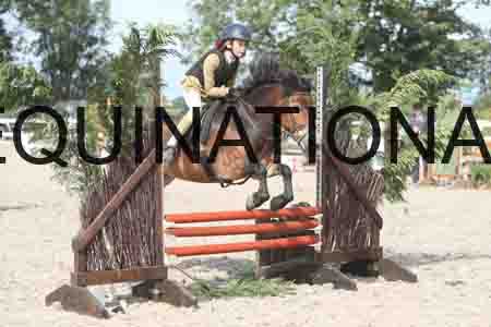 TUR-1210