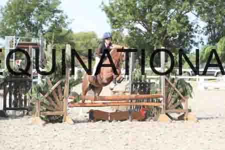 TUR-1217