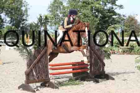 TUR-1222