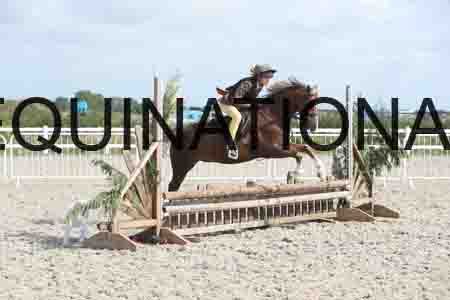 TUR-1227