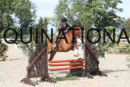 TUR-1237