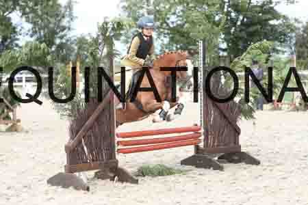 TUR-1306