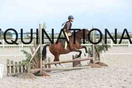 TUR-1308