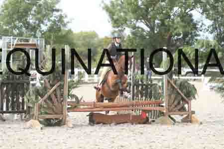 TUR-1309