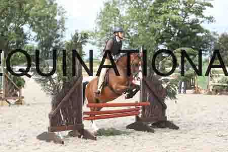 TUR-1310