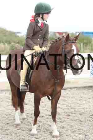 TUR-1329