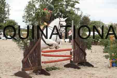 TUR-1398