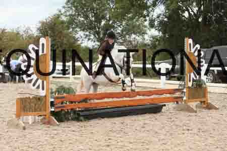 TUR-1478