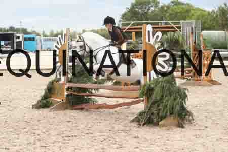TUR-1479