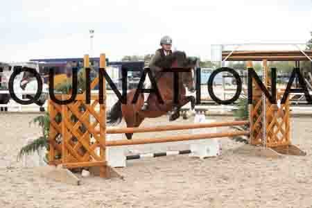TUR-1551