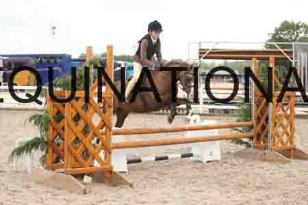 TUR-1563