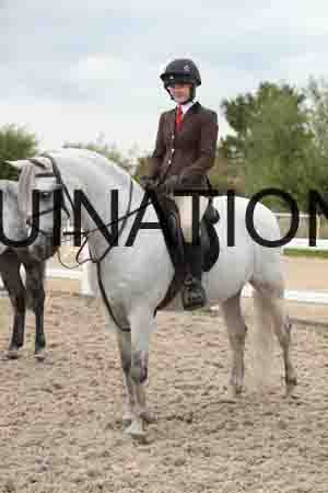 TUR-1701