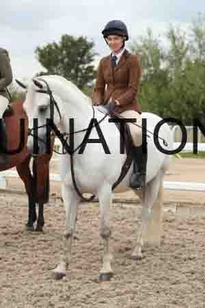 TUR-1704
